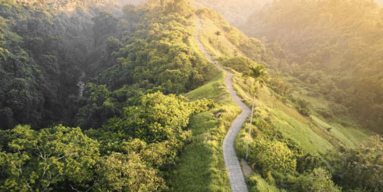 Campuhan Ridge Walk Ubud Bali