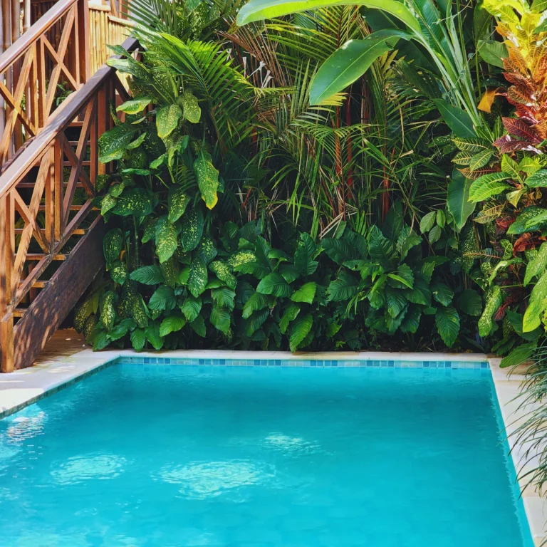 Swimming pool surrounded by dense tropical greenery with wooden staircase and natural stone poolside.