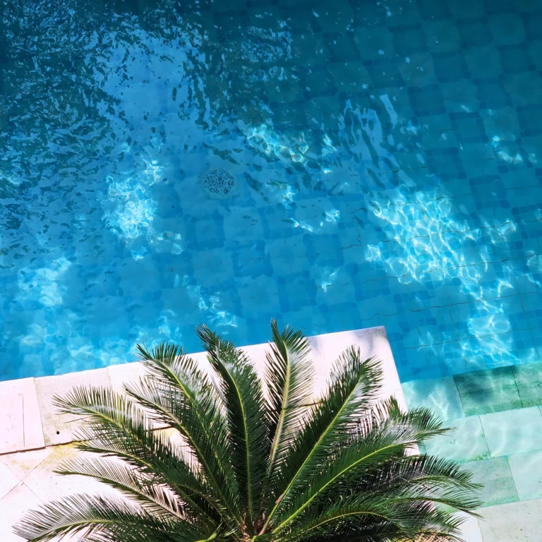 Top-down view of a clear blue pool with palm leaves and light stone poolside.