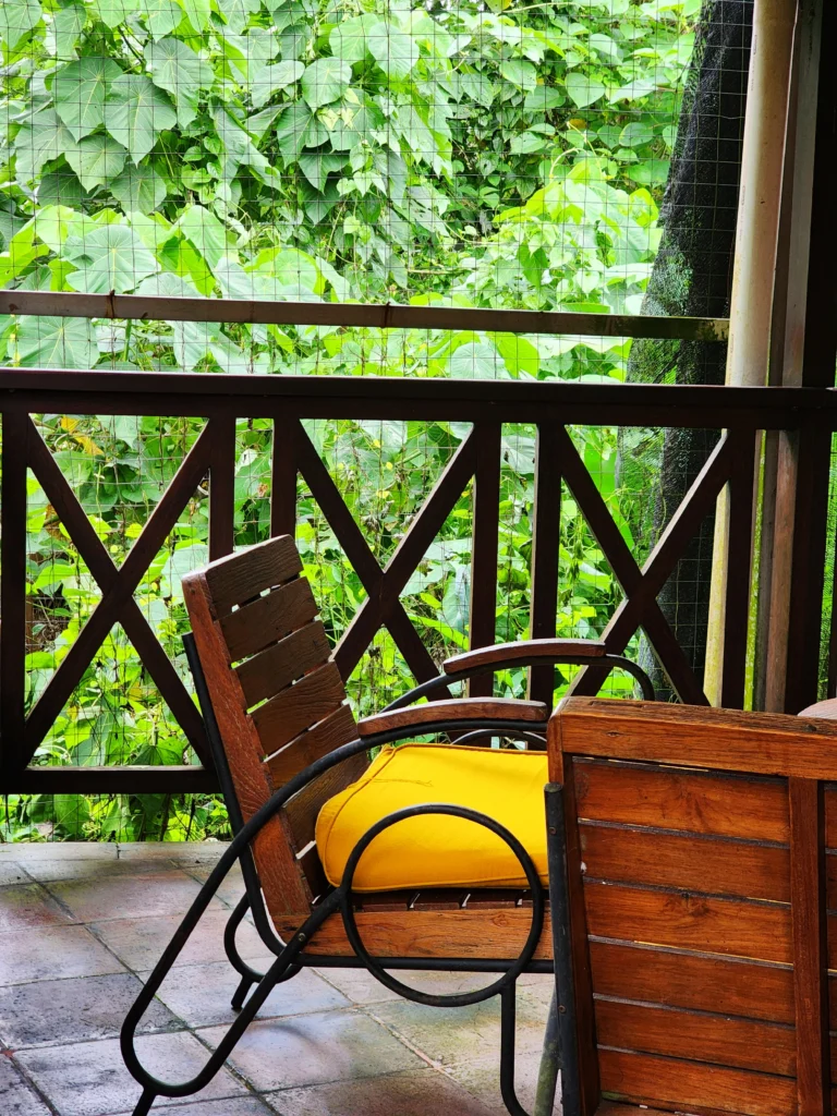 Tropical outdoor seating area with wooden rocking chair, slatted chair, and lush greenery.